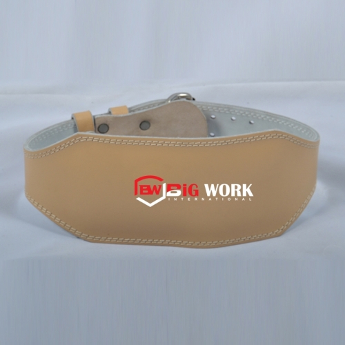 Weight Lifting Belt